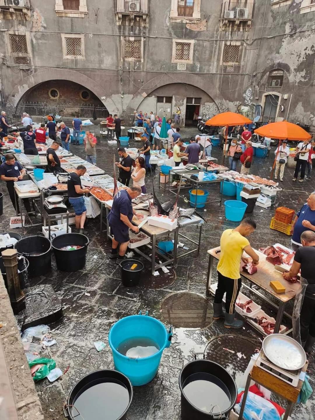 Casa Del Sole Appartamento Catania